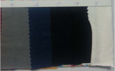 GZ- HGSG 21S純棉雙股平紋 250-260G 側面照